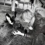 Tiergespräche Pferde: tiefe Verbindung durch Kommunikation