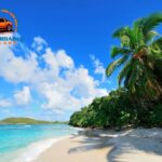 Rentals Car in Hawaii: Easy, Affordable Hawaii Vehicle Rentals