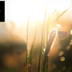 Psykodynamisk terapi i Östermalm – konsten att förstå dig själv