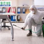 Reliable Pest Control Services in Calgary for Homes and Businesses
