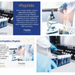 Understanding Abeta 1-40: Its Role in Alzheimer’s Research and Therapeutic Discovery