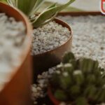 Corten Steel Edging for Modern Gardens | Landermetals AU