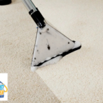 Carpet and Tile Cleaning: Fast, Reliable Home Shine