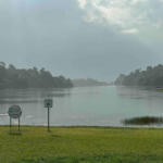 Business for Takeover in Singapore: Discover Opportunities Today