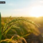 Psykolog Stockholm: Relationer som stärker dig