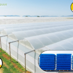 BOPP Clear Tape UAE – Strong, Reliable Packaging Solution