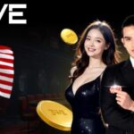 3WE Online Casino – Play, Win, and Thrive on Asia3we.com