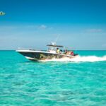 Swim With Pigs Bahamas Nassau – A Memorable Nassau Adventure
