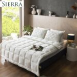 Shop Women’s T-Shirts Online USA – Trendy, Ethical Styles