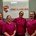 Vaccinera hund i Simrishamn – skydda din vän