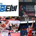 해외축구의 생생한 순간을 보는 다른 방법