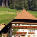 Guided Motorcycle Tour: Discover Europe’s Scenic Roads