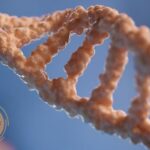 Rebuild Harmony with Marriage Counselling in Malaysia