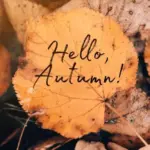 Microsteading for Small Yards: Cozy, Sustainable Garden Tips