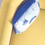 Pet Odor Removal Service Reno | Refresh Your Home effortlessly