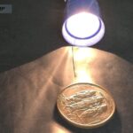 East India Company Rice Puller Plates Available – Authentic Verification