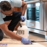 Calgary Termite Treatment: Safe, Effective Pest Solutions