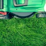 Gardening Services Bristol | Reliable Garden Care by Tidy Gardeners Bristol